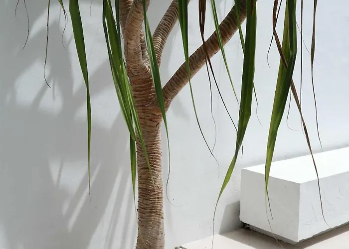 Villa Matahari House *